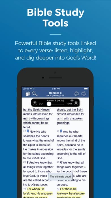 Official US iOS App Store image for Blue Letter Bible